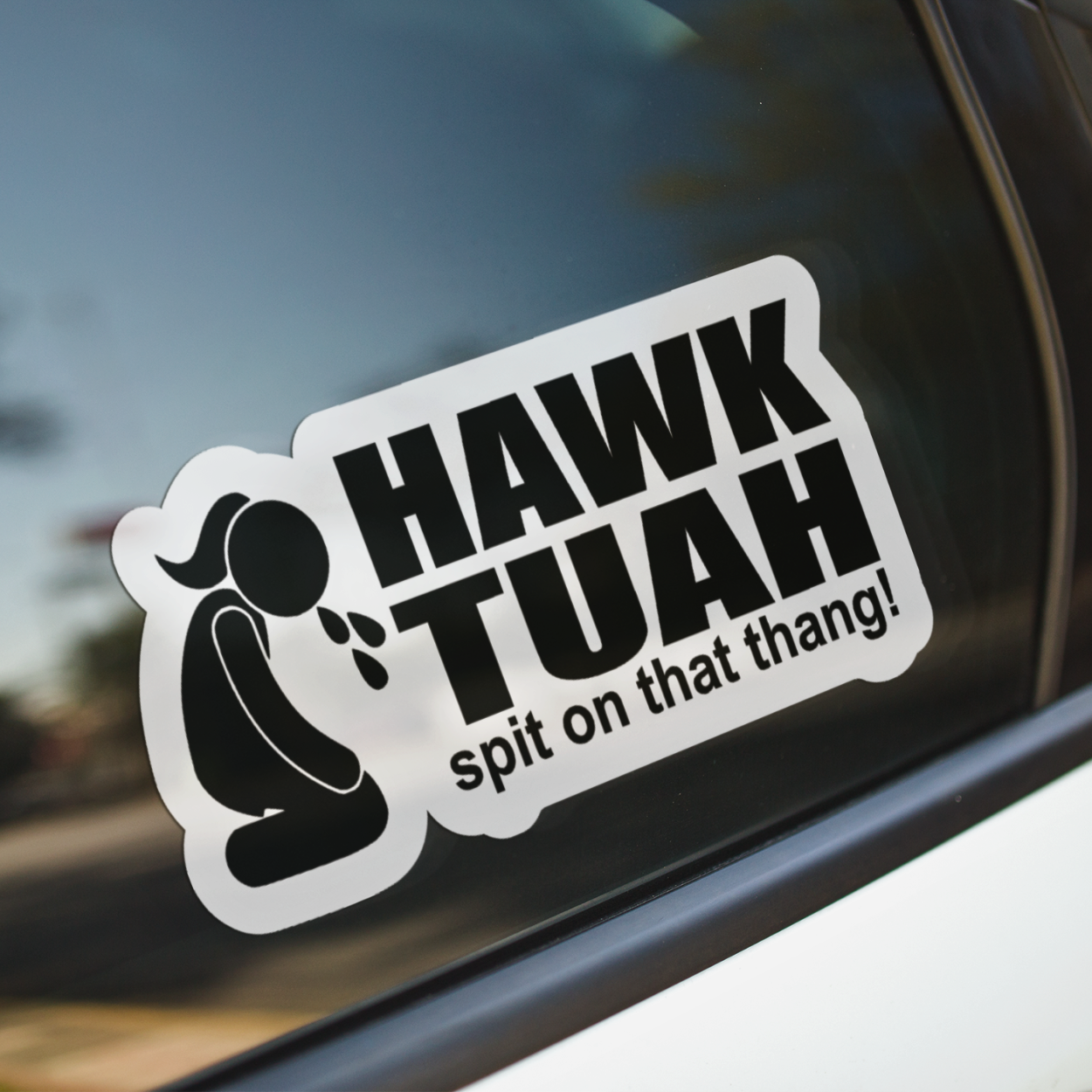 Hawk Tuah Spit On That Thang Viral Sticker Pack - 12 Die Cut Hawk Tuah Stickers