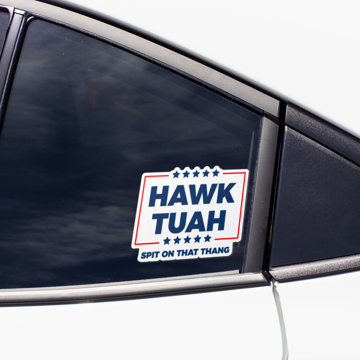 Hawk Tuah Spit On That Thang Viral Sticker Pack - 12 Die Cut Hawk Tuah Stickers